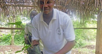 Post_Agroforestry_Man with seedling
