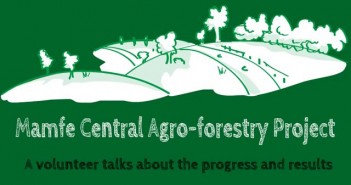 Mamfe Central Agro-forestry project: A volunteer’s testimony