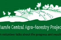 Mamfe Central Agro-forestry project: A volunteer’s testimony